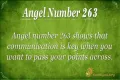 263 Angel Number Meaning - Pulptastic