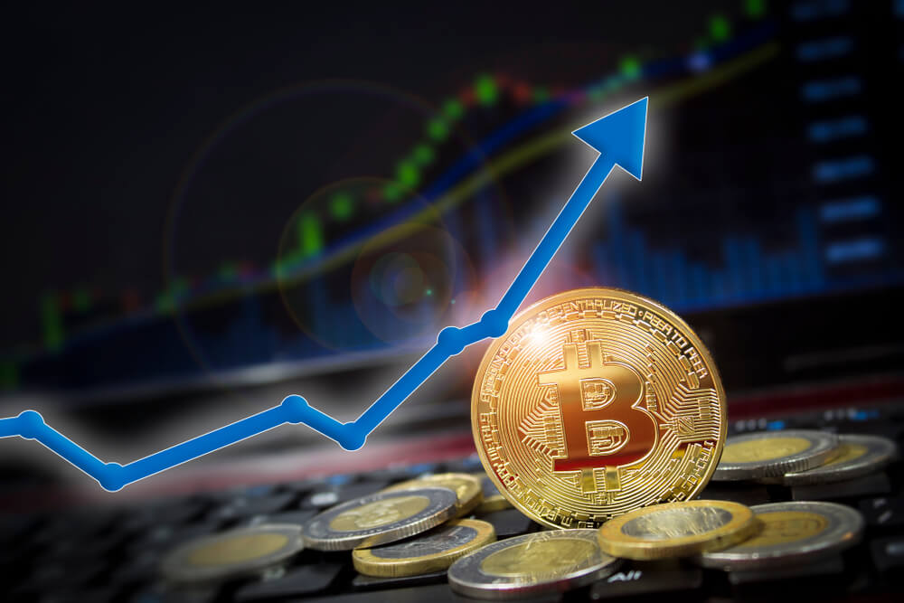 Btc forex trading for beginners