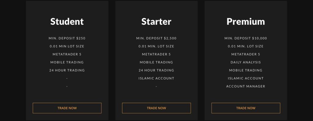 TradersHome accounts