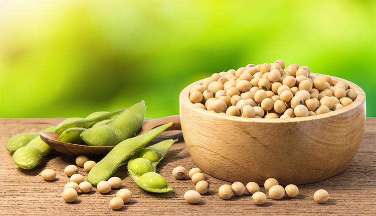 Soybeans at 2-Week High; Tariff Waivers Supported by China - Finance Brokerage