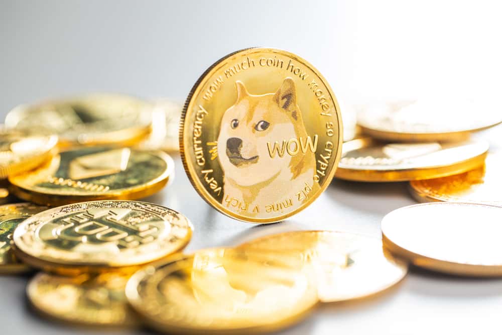 Bitcoin and Dogecoin