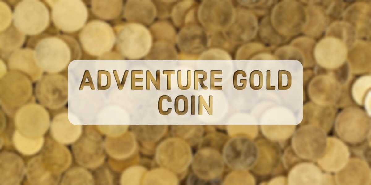 Adventure Gold Coin