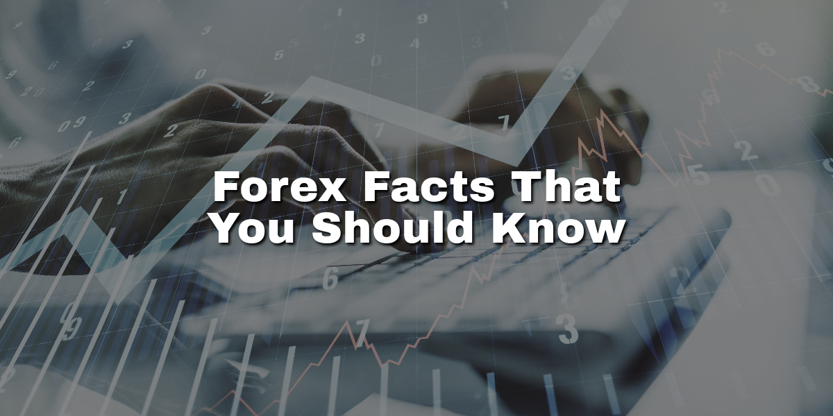 Forex Facts That You Should Know - The Currency Chronicles
