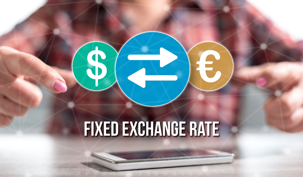 Fixed Exchange Rate vs. Constant Currency